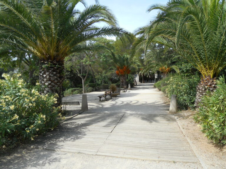 Areca Park, Saint Aygulf, Botanischer Garten.