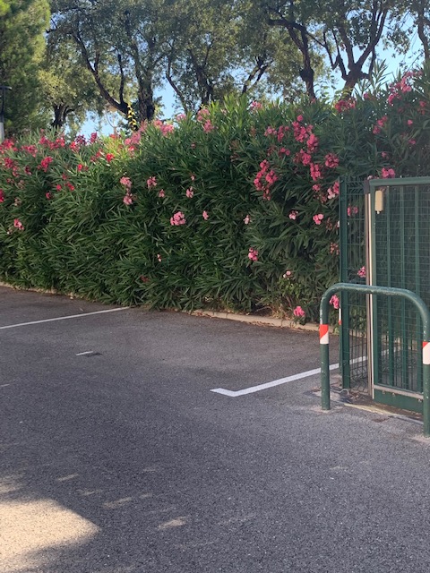 Privater Parkplatz in 4 Gehminuten entfernt.